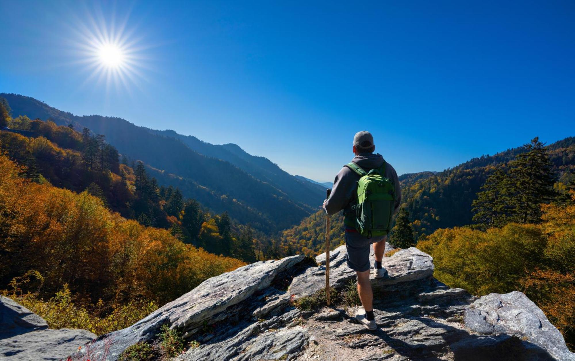 Apple Valley Hideaway, 1089 Of Free Attraction Tickets For Each Paid Day, Dollywood And More! 鸽子谷 外观 照片