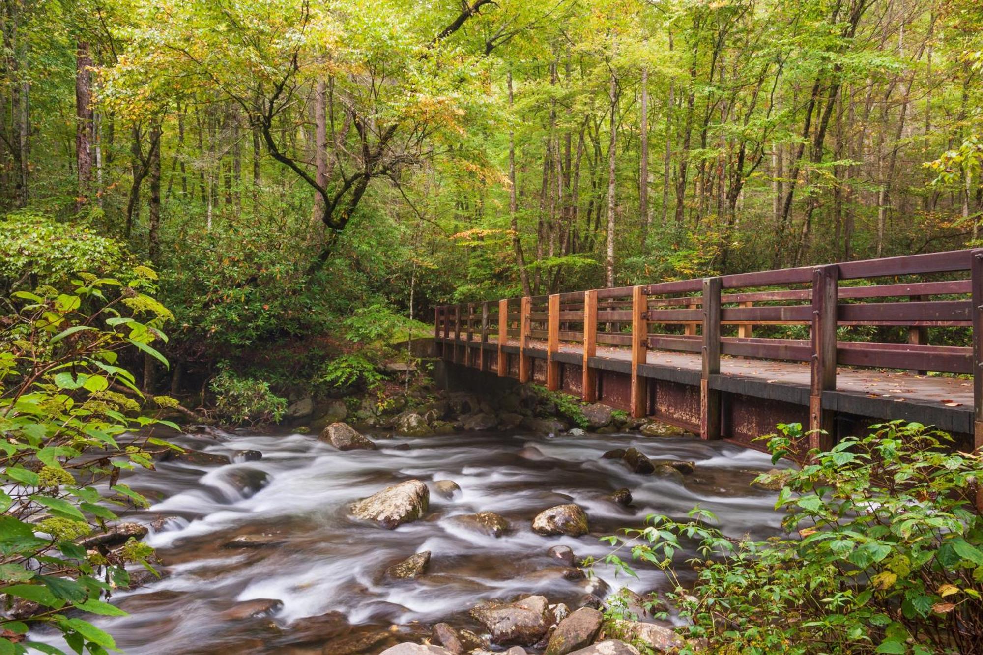 Apple Valley Hideaway, 1089 Of Free Attraction Tickets For Each Paid Day, Dollywood And More! 鸽子谷 外观 照片