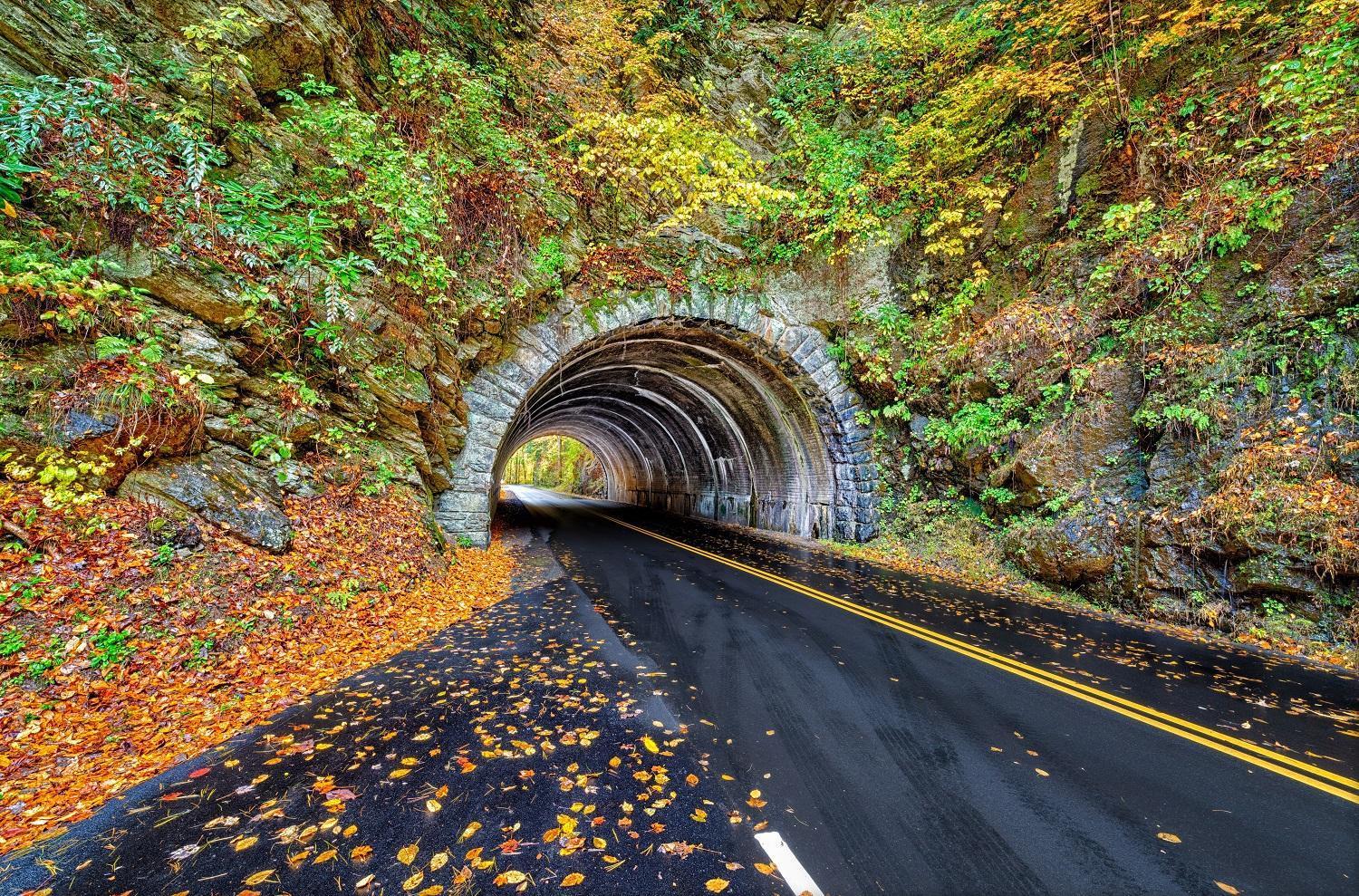 Apple Valley Hideaway, 1089 Of Free Attraction Tickets For Each Paid Day, Dollywood And More! 鸽子谷 外观 照片