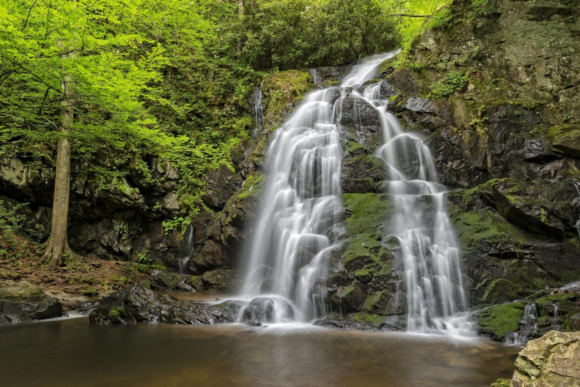 Apple Valley Hideaway, 1089 Of Free Attraction Tickets For Each Paid Day, Dollywood And More! 鸽子谷 外观 照片